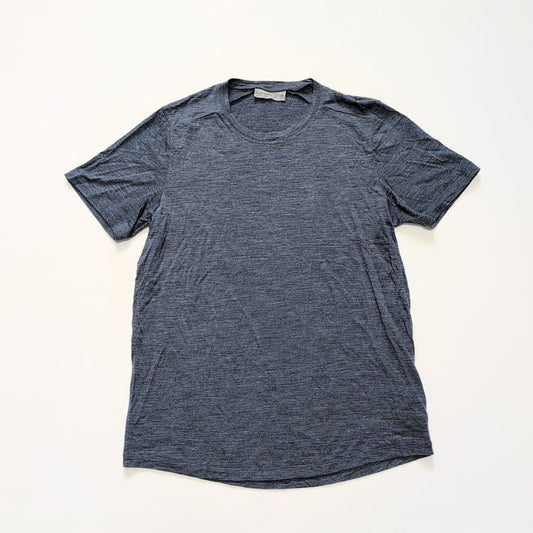 T-Shirt von Icebreaker Merino (M Damen) grau
