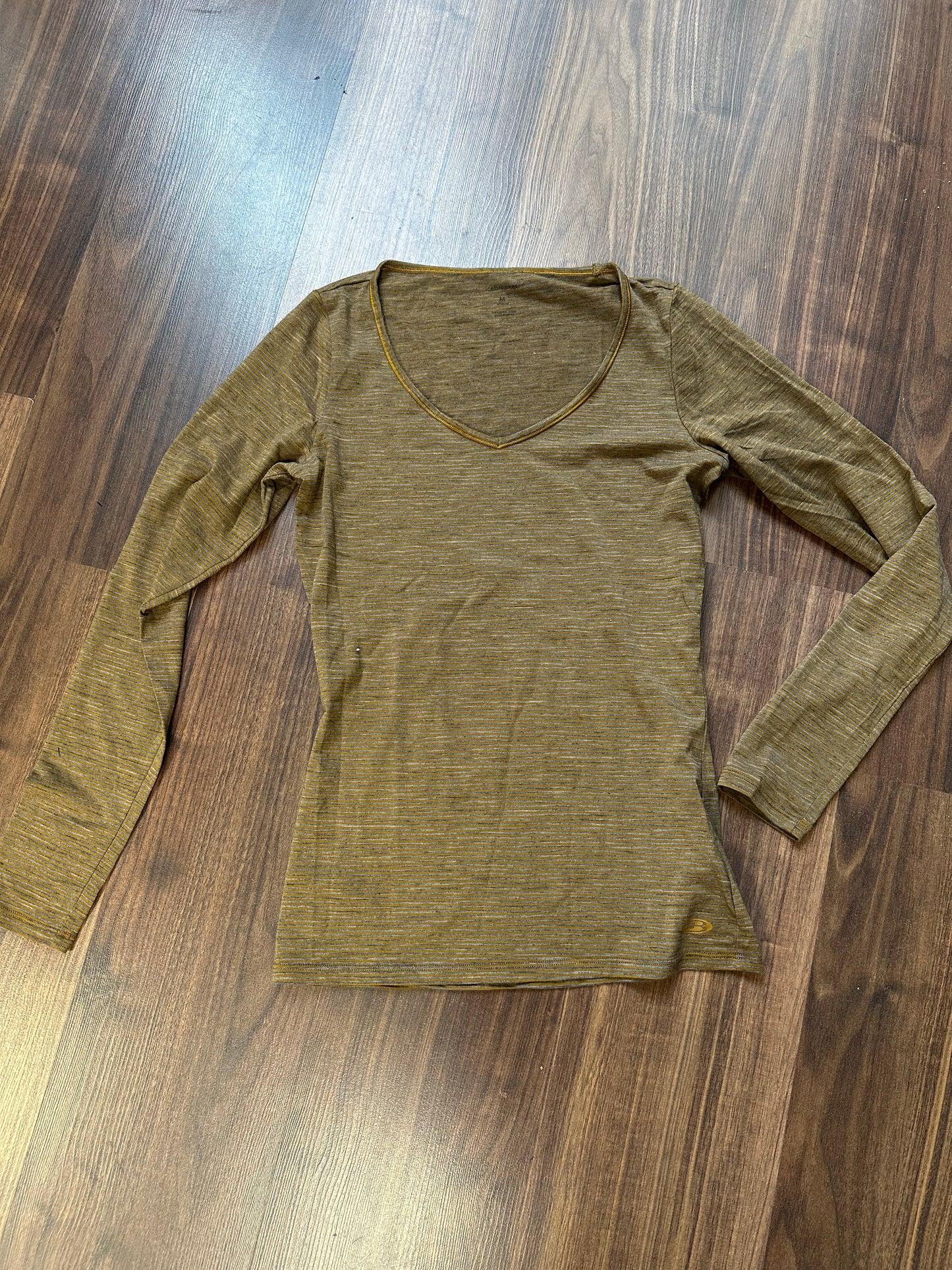 Merino Longsleeve von Icebreaker (M Damen) gestreift
