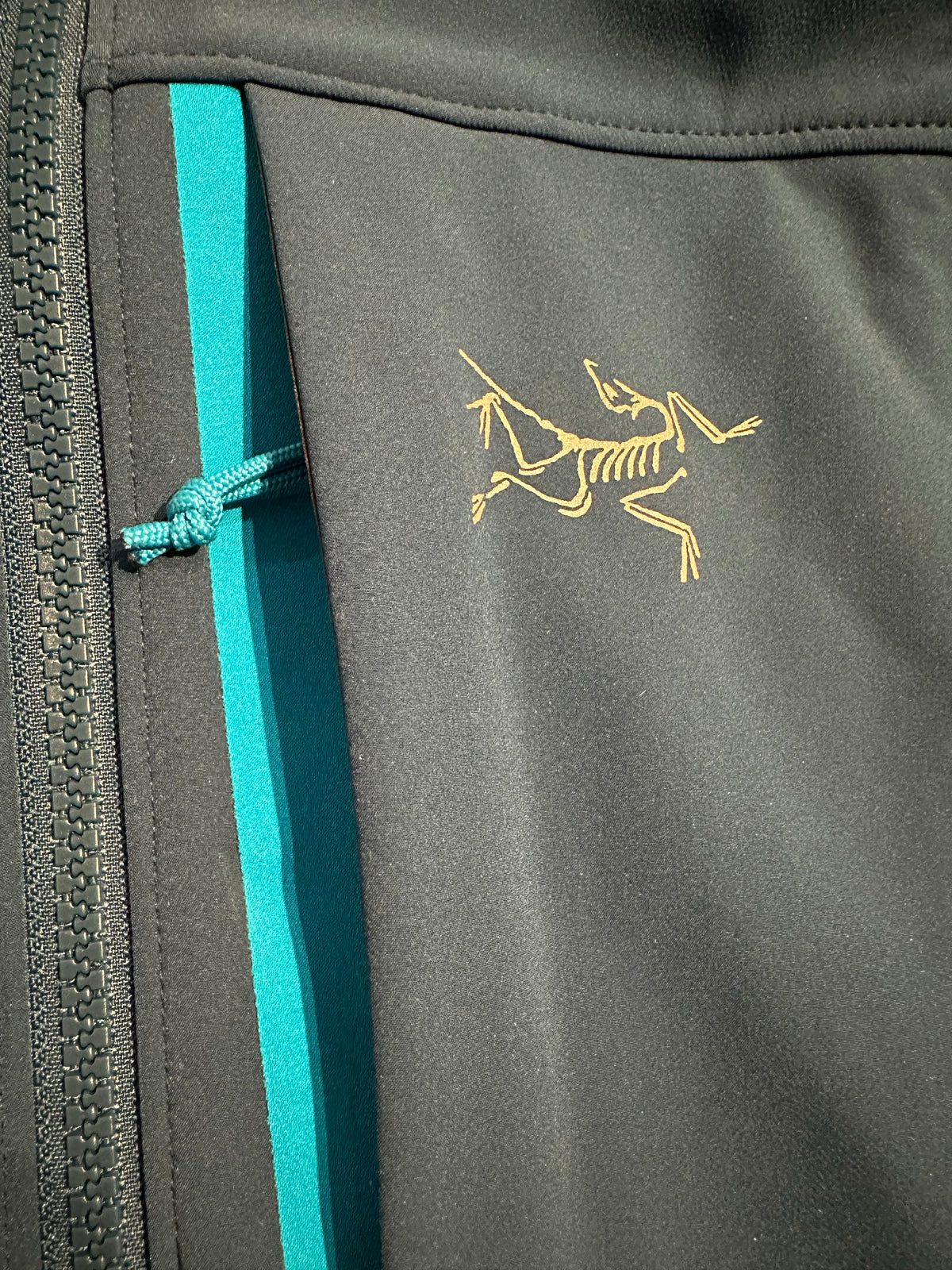 Softshell Jacke von Arcteryx (Herren L) blau