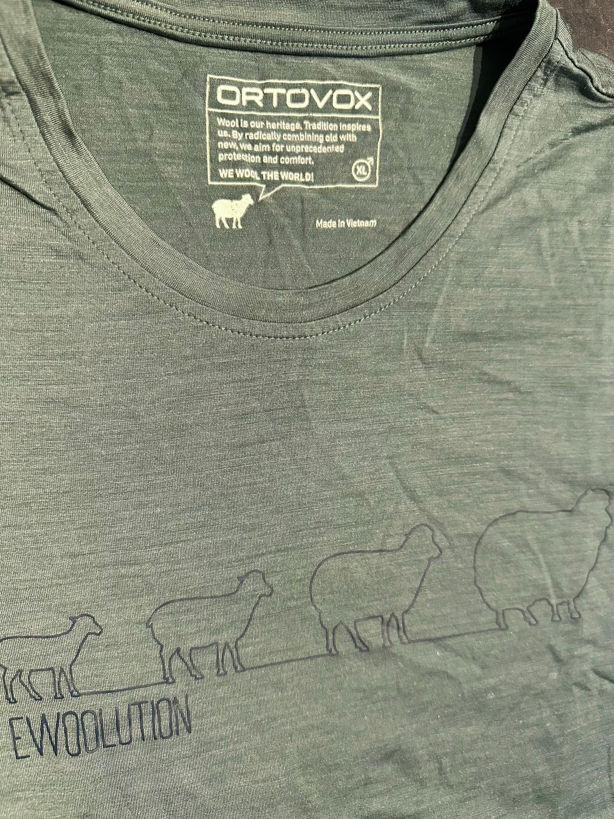 Merino T-Shirt Ortovox (XL Herren) grün mit Print