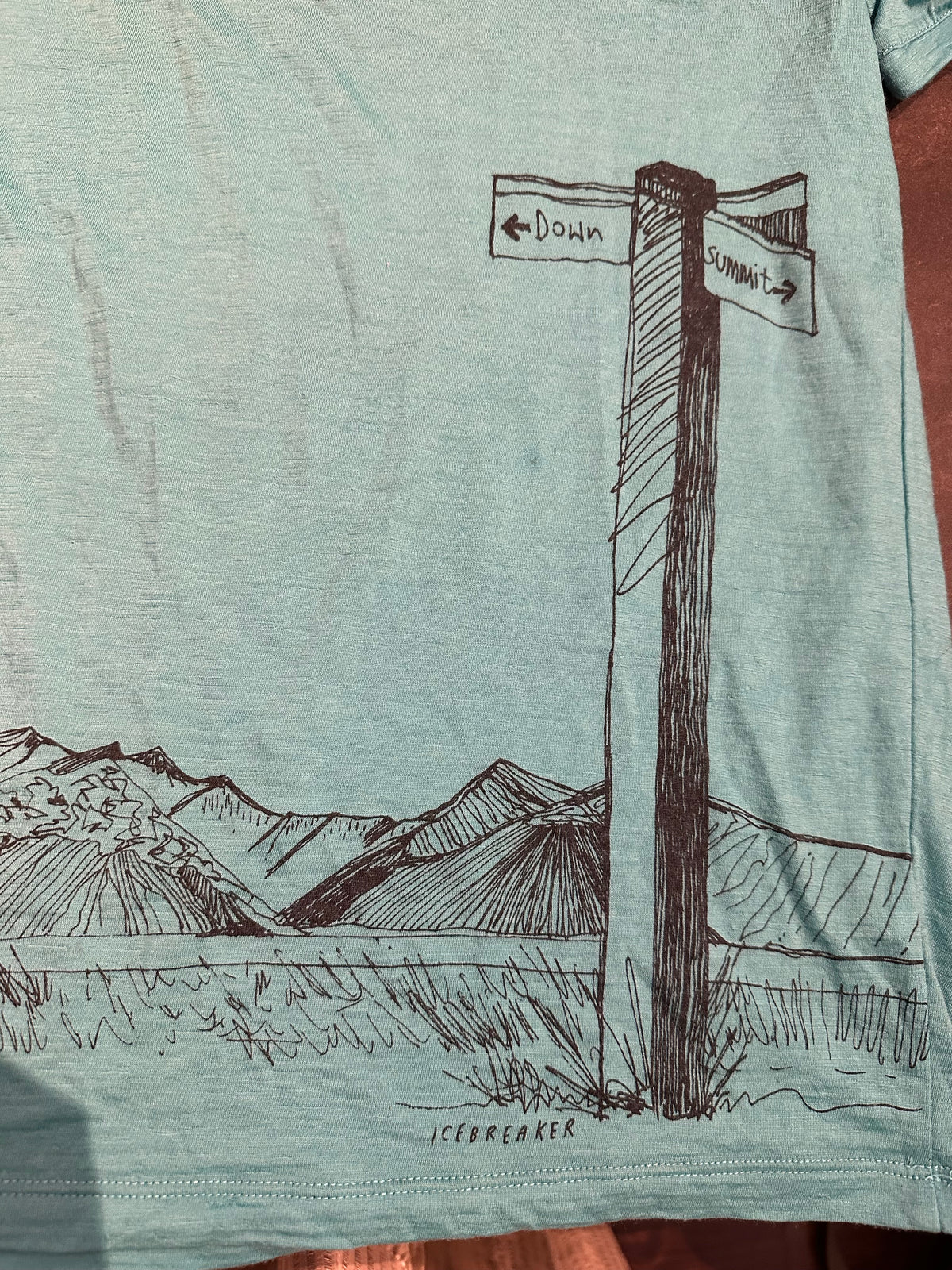 Merino T-Shirt Icebreaker (L Herren) türkis Print