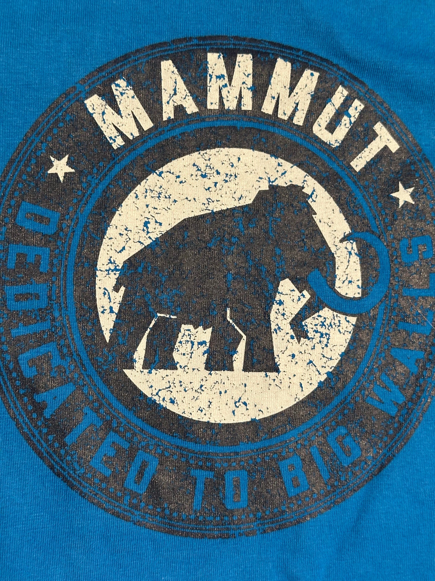 Mammut T-Shirt (Herren S) Baumwolle blau Brustprint