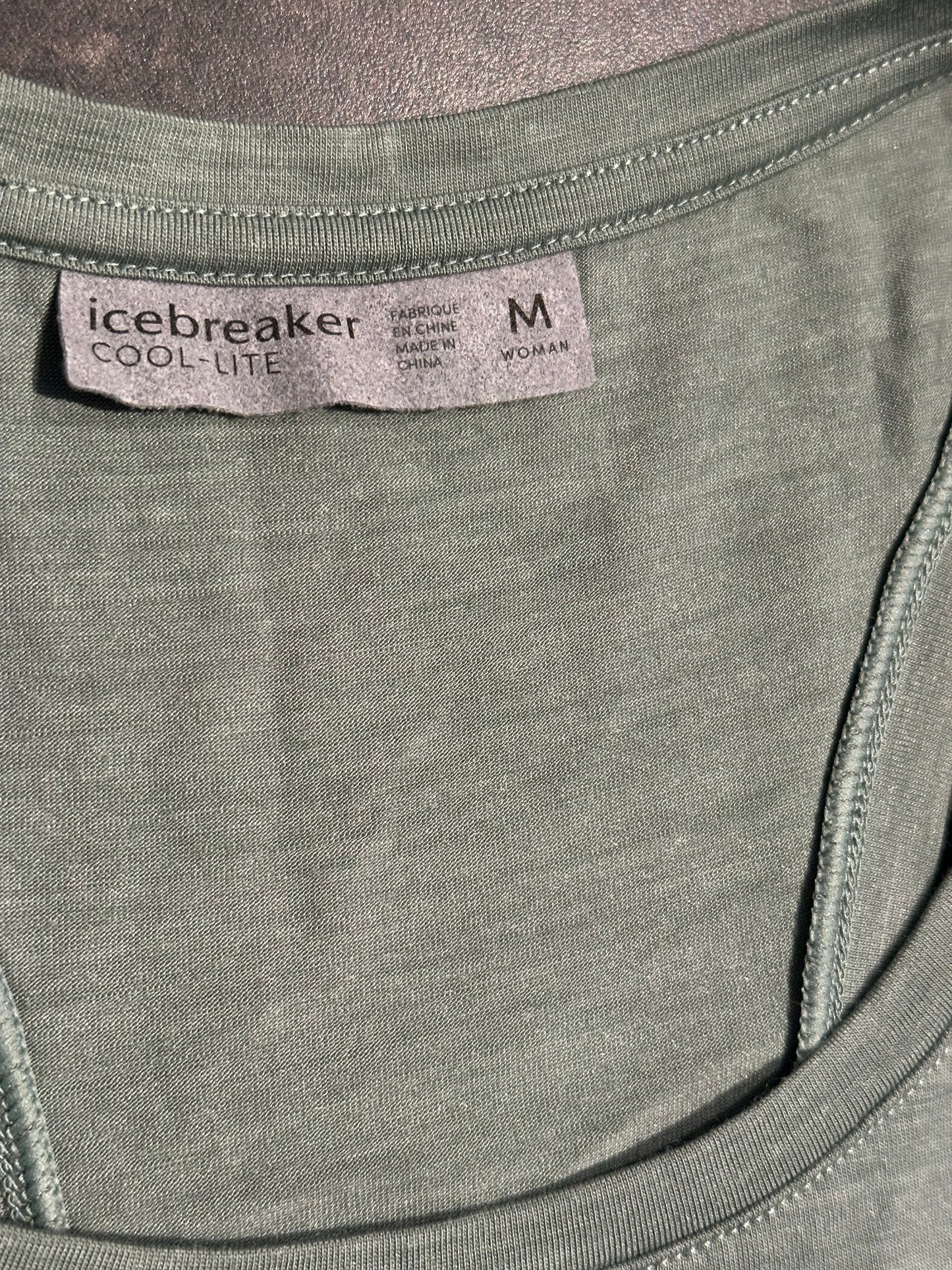 Langes Merino Kleid von Icebreaker (M Damen) grün