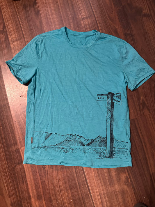 Merino T-Shirt Icebreaker (L Herren) türkis Print