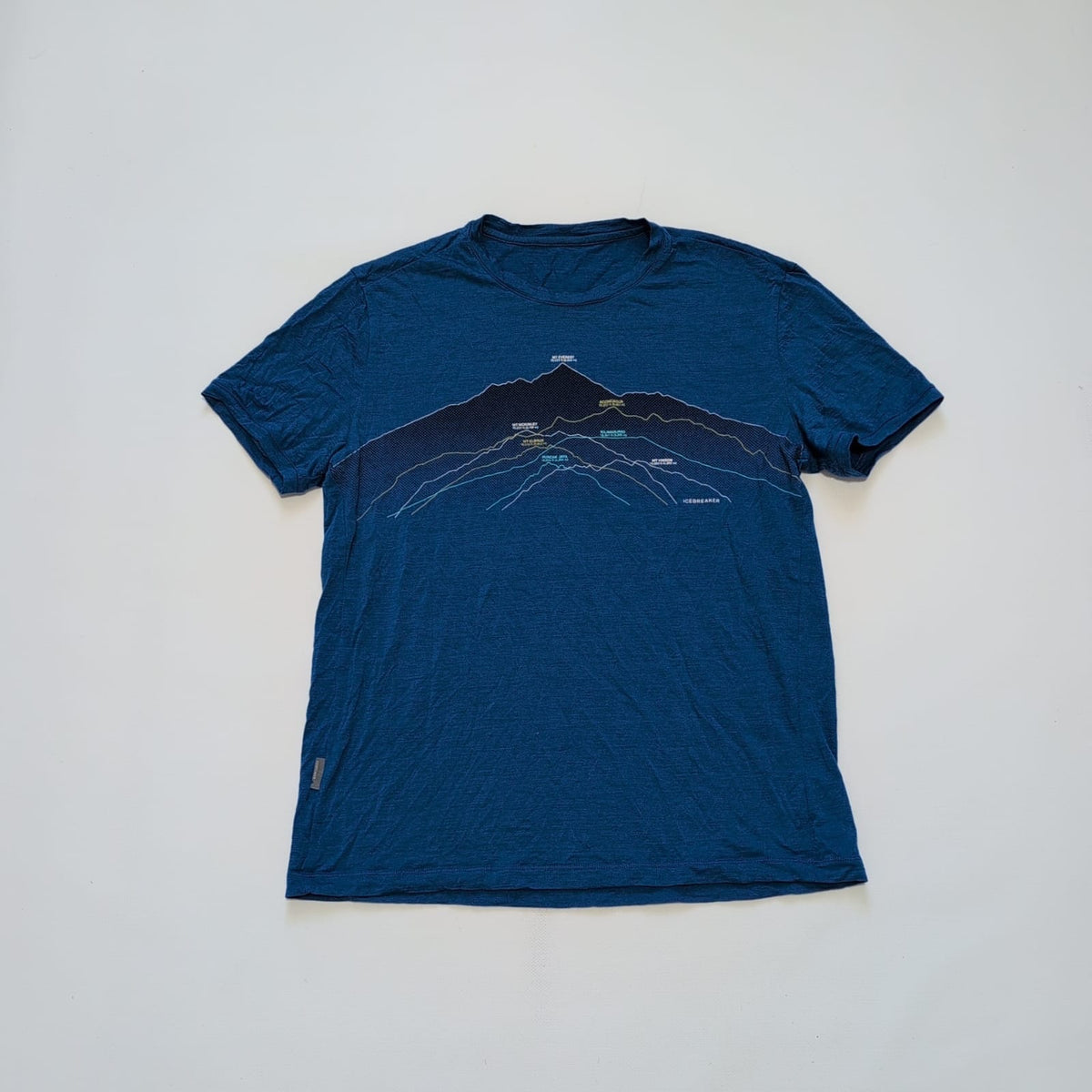 Merino T-Shirt von Icebreaker (S Herren) blau Print