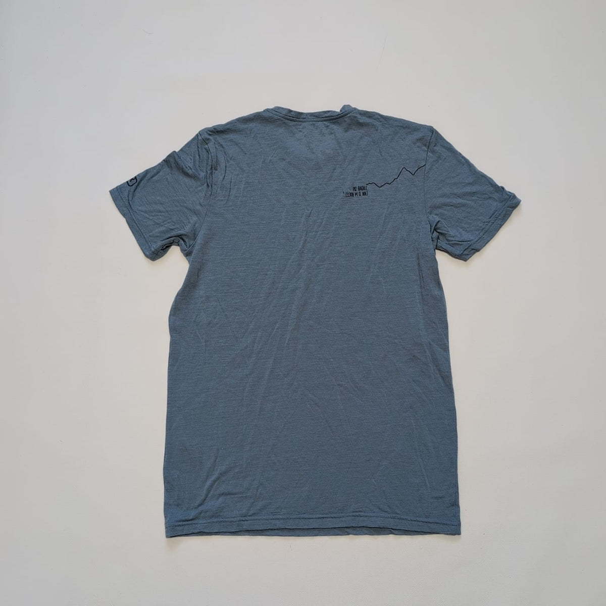 Merino T-Shirt von Ortovox (S Herren) stahlblau mit Print
