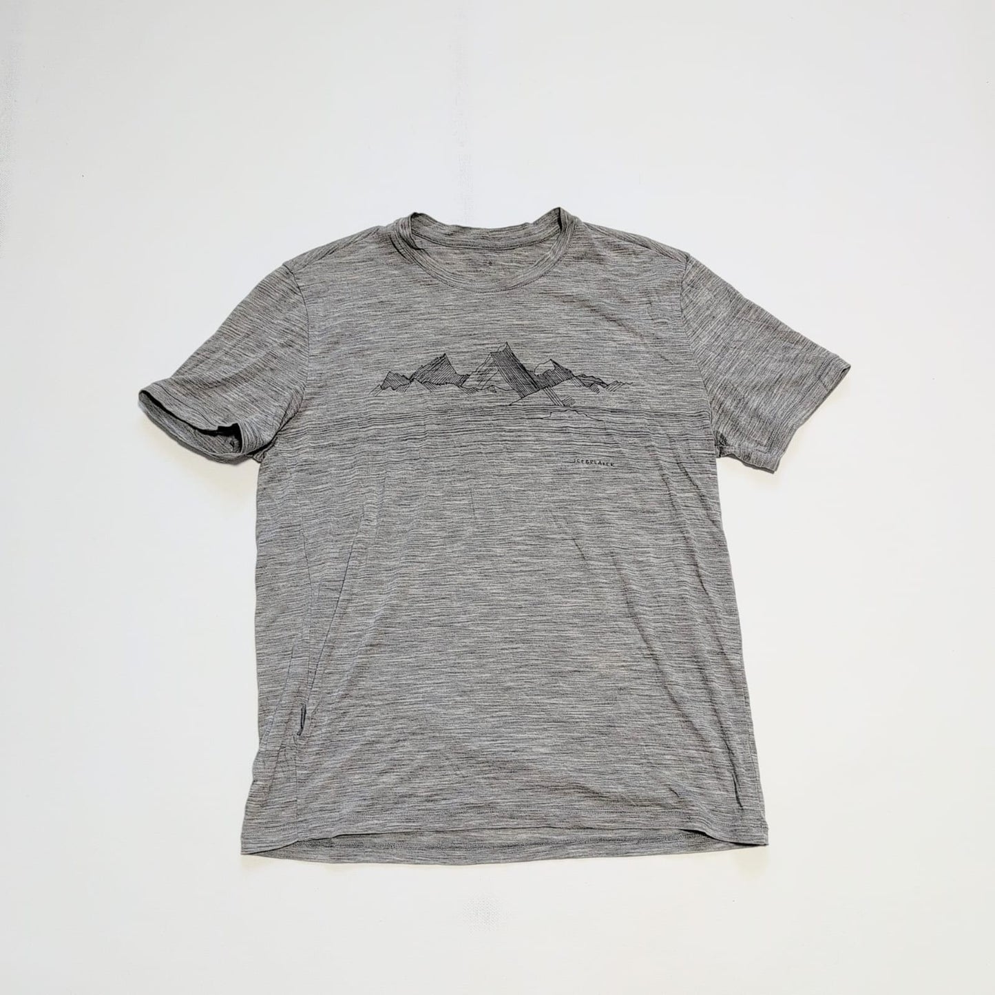 T-Shirt von Icebreaker Merino (M Herren) grau mit Print