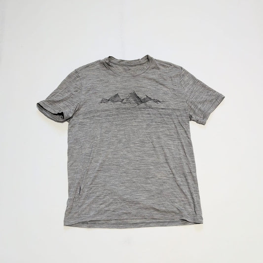 T-Shirt von Icebreaker Merino (M Herren) grau mit Print