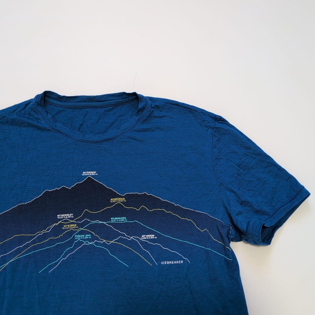 Merino T-Shirt von Icebreaker (S Herren) blau Print