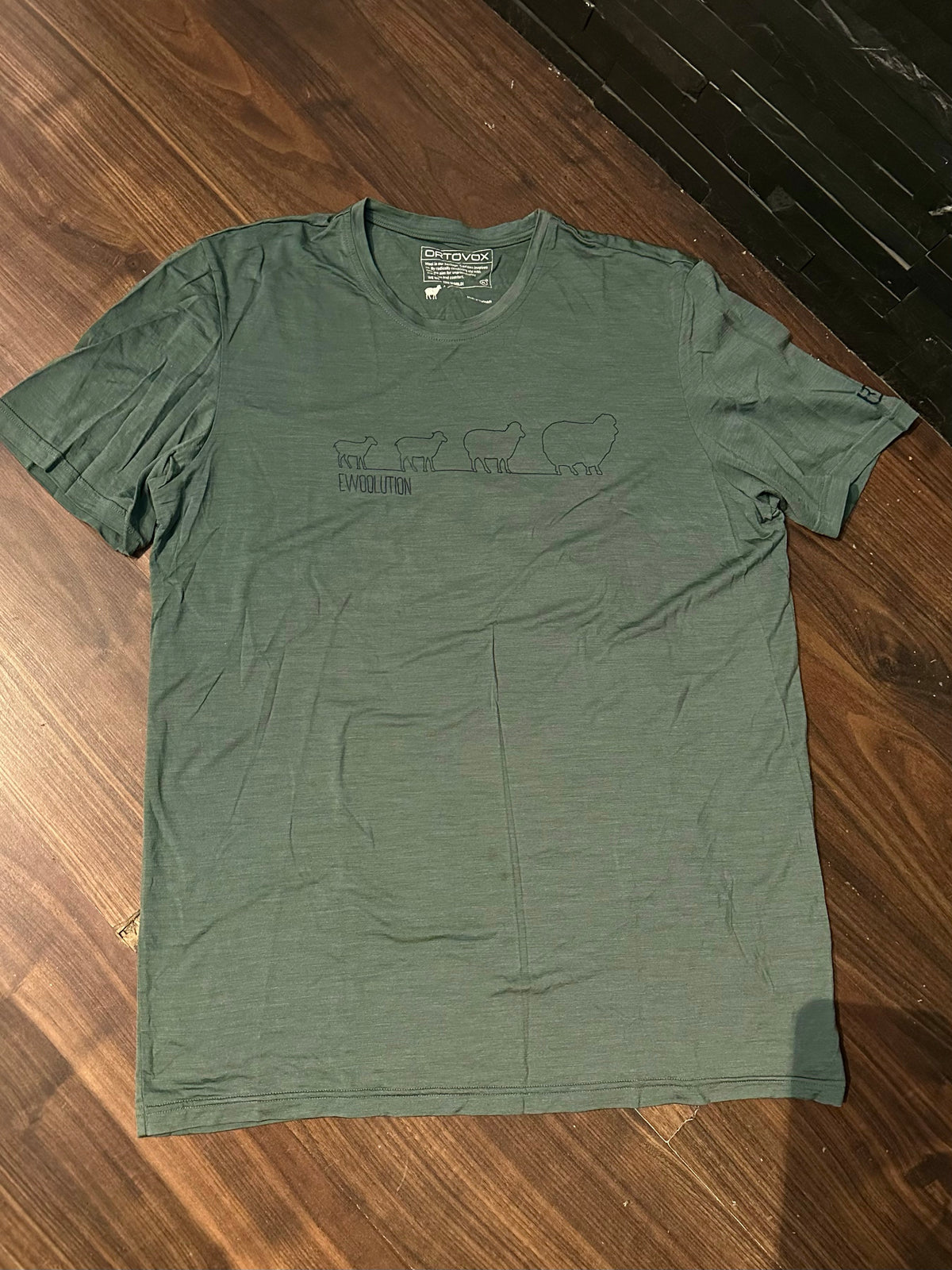 Merino T-Shirt Ortovox (XL Herren) grün mit Print