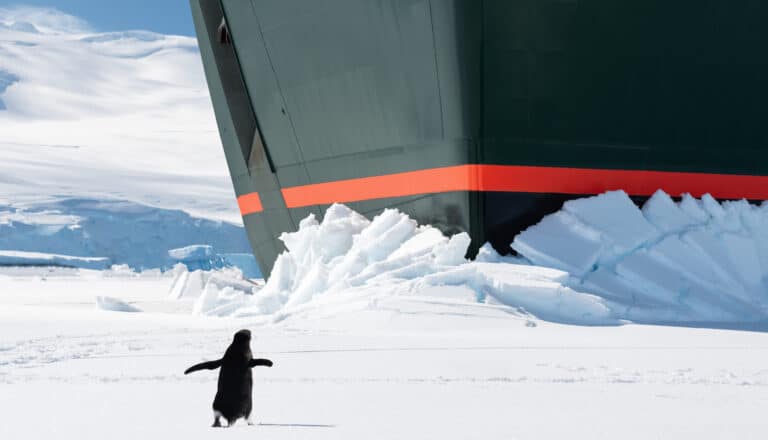 Icebreaker Pinguin
